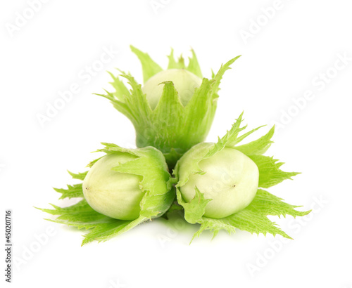 Green hazelnut nuts isolated on white background. Fresh green hazel nuts.