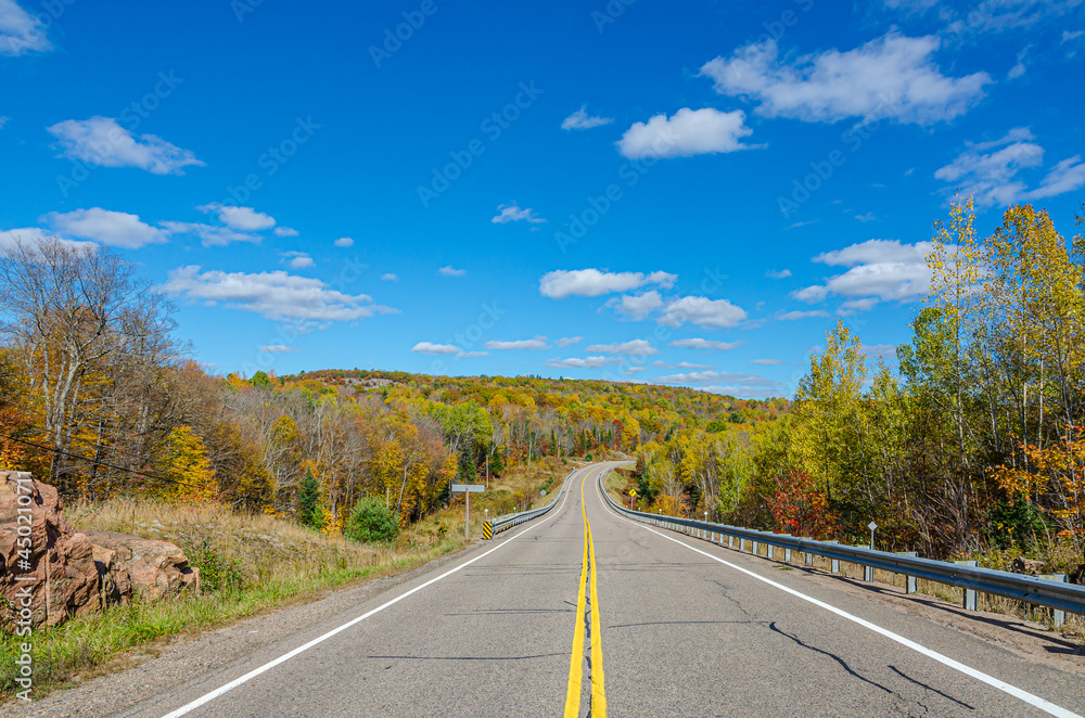 Fototapeta premium Road in Algonquin Park