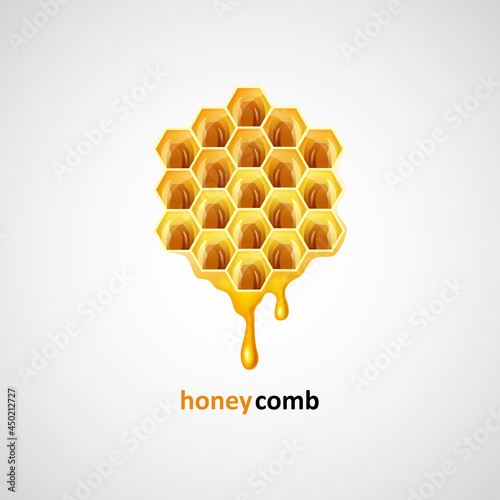 Honeycombs in the shape of hexagon, honey liquid. vector illustration