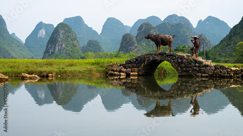 Fotografi GUILIN, CHINA - SEPT 20, 2017: A farmer walks his buffalo home after a day’s wor