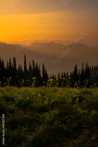Fototapeta Naklejka Na Ścianę i Meble -  Sunrise in the mountains, Mt. Rainier national park