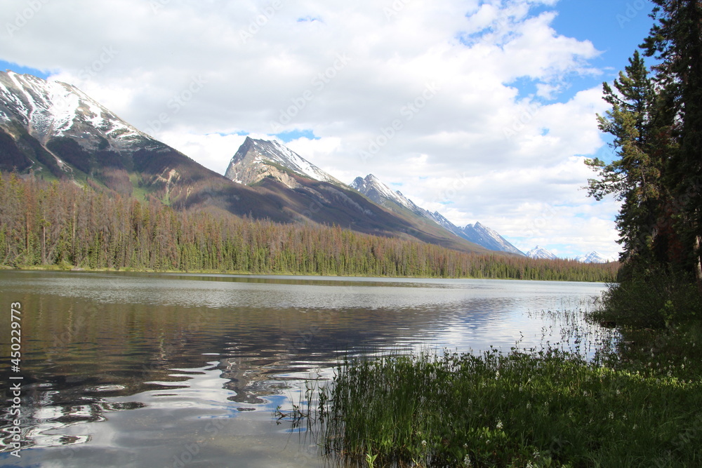 June Calm On The Lake, Jasper National Park, Alberta