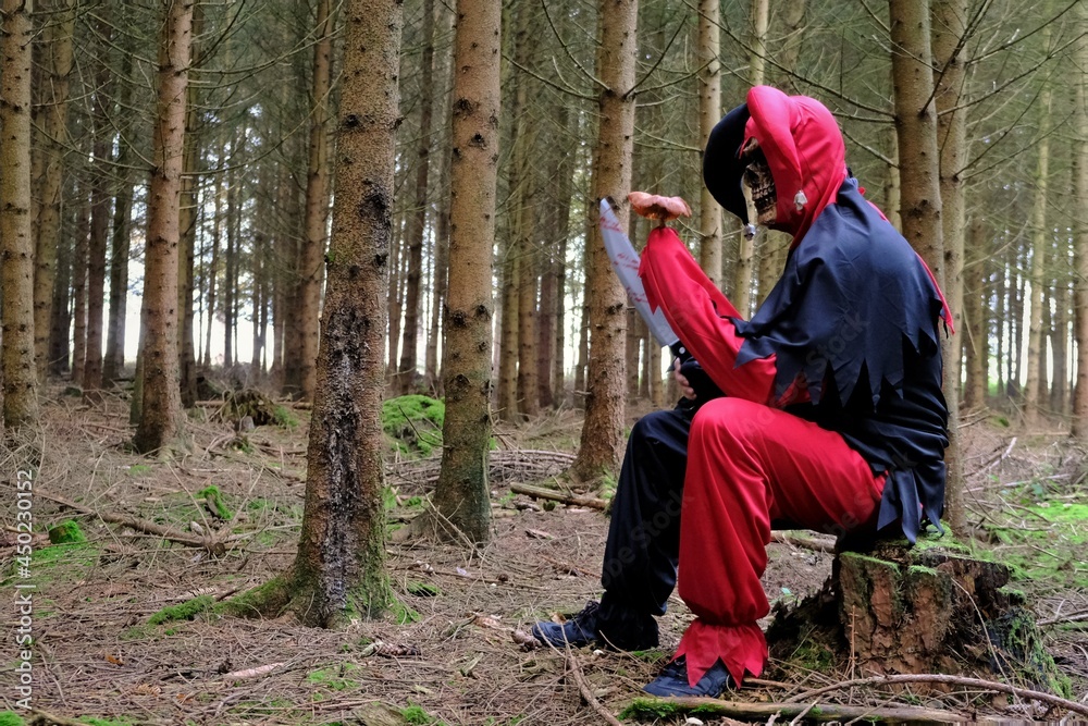 Halloween holiday.scary harlequin. evil jester in the autumn misty forest.Evil scary jester costume and skull mask.Fear and horror. creepy clown in the forest. High quality photo Halloween holiday.scary harlequin. evil jester in the autumn misty forest.Evil scary jester costume and skull mask.Fear and horror. creepy clown in the forest. High quality photo