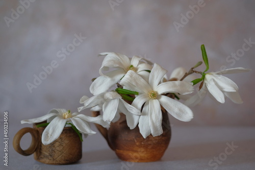 White magnolia flowers in brown clay mugs.