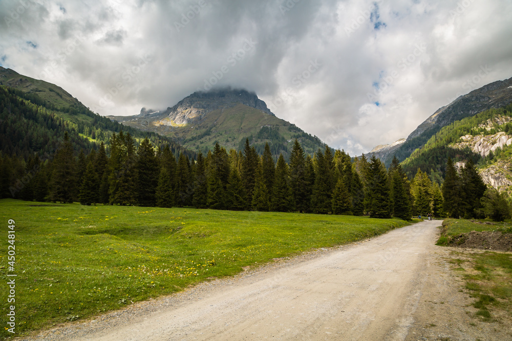 natural landscape with green mountain peaks in summer