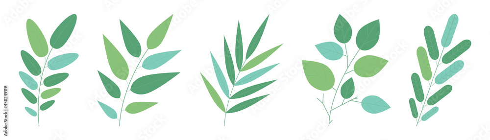 different leaves