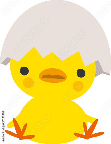 ひよこと卵の殻のイメージイラスト
