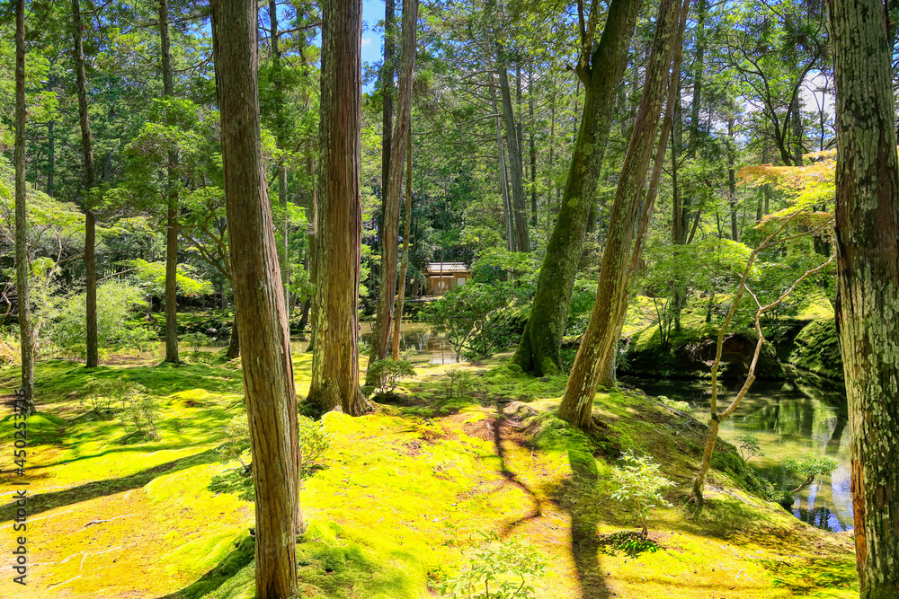 京都、西芳寺（苔寺）の庭園 Stock Photo | Adobe Stock