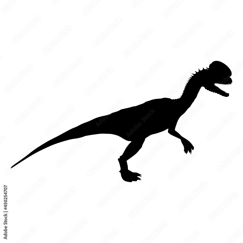 Fototapeta premium Black silhouette dinosaur isolated on white background