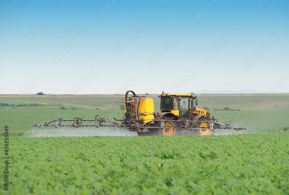 Tractor spraying pesticide on a field of young plant of sunflowers Tractor spraying pesticide on a field of young plant of sunflowers