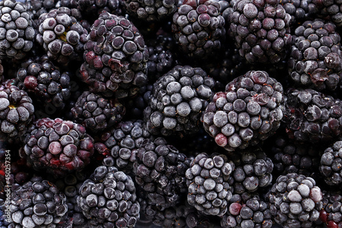 Berry background. Frozen blackberries background.