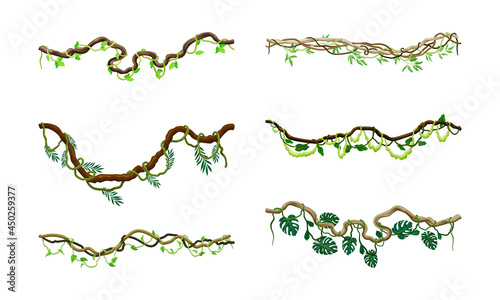 Liana as Long-stemmed Woody Vine Climbing and Tangled Around Tree Vector Set