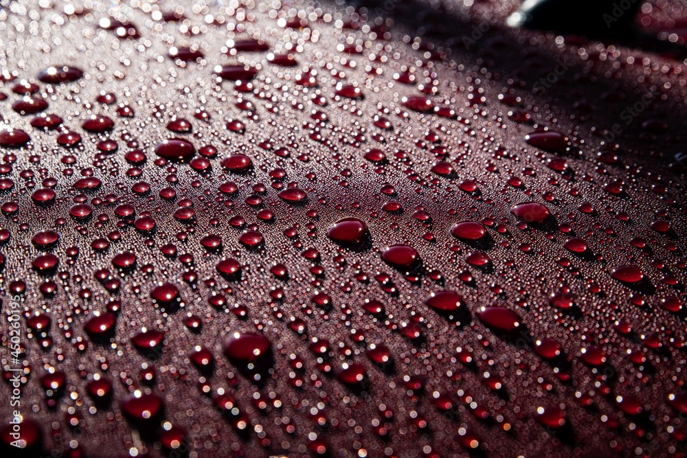 Hydrophobic water effect on red car paint after rain. Water drops on metal surface
