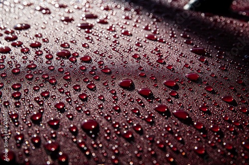 Hydrophobic water effect on red car paint after rain. Water drops on metal surface photo