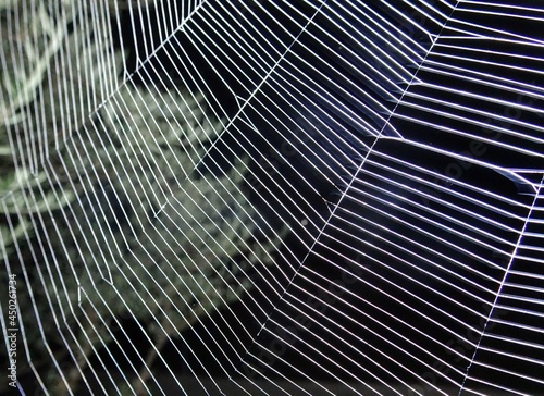 Orange Wheelweaving Spider Web Background