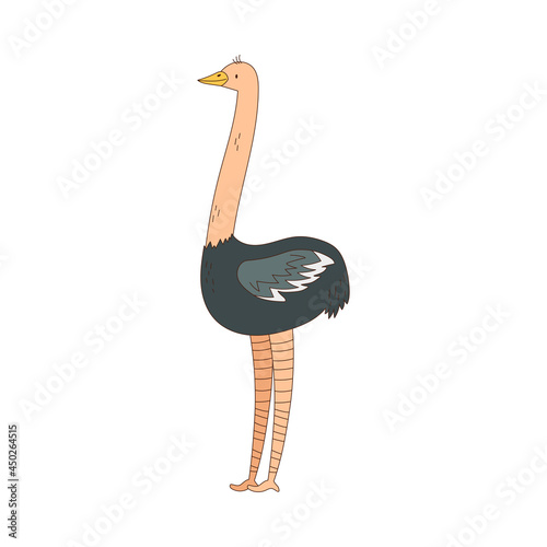 Ostrich with Long Neck as African Animal Vector Illustration
