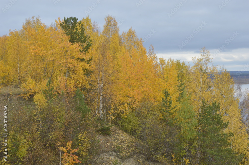 Beautiful and bright autumn landscape.