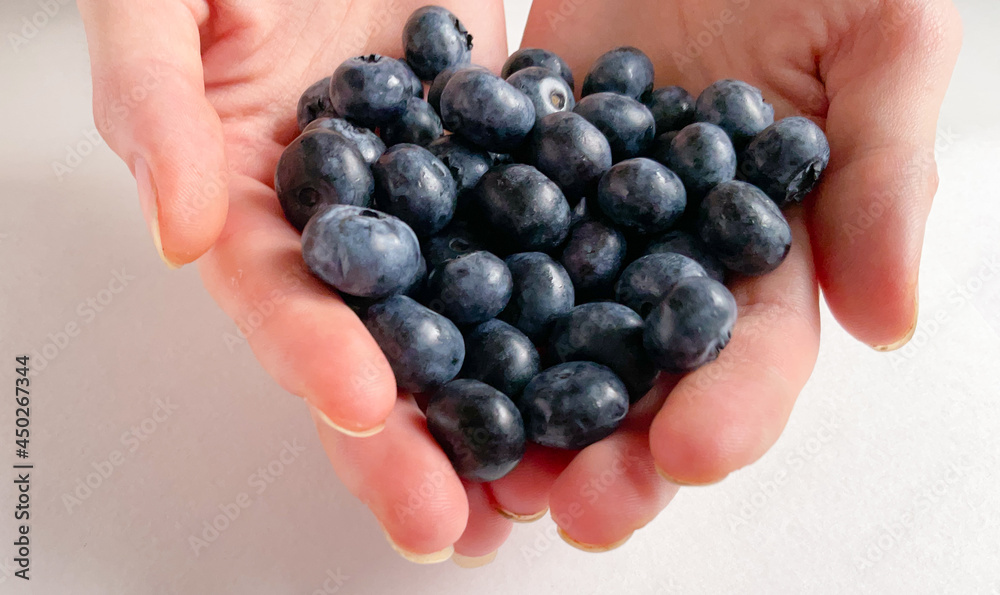Photo blueberry. Macro huckleberry. Berry in hand women. A handful of berries. Ripe wild berries Photo blueberry. Macro huckleberry. Berry in hand women. A handful of berries. Ripe wild berries