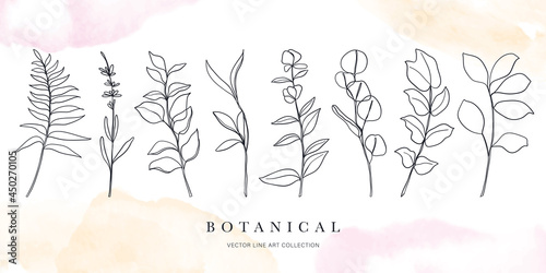 Botanical arts. Hand drawn continuous line drawing of abstract flower, floral, ginkgo, rose, tulip, bouquet of olives. Vector illustration.