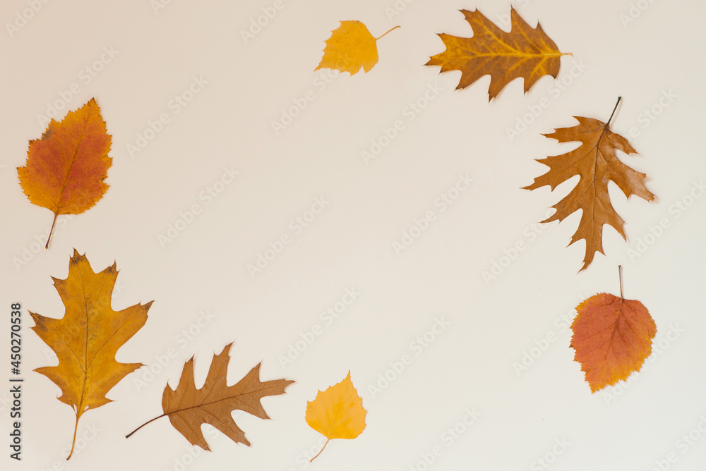 Autumn flat lay background on beige