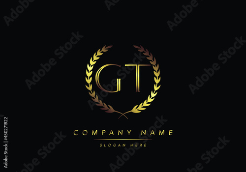 Alphabet letters GT monogram logo, gold color, luxury style photo
