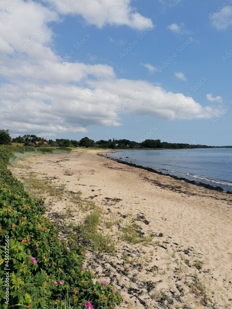 The romantic scenery in the coastal landscapes with beaches and hills in Southern Sweden, Scandinavia The romantic scenery in the coastal landscapes with beaches and hills in Southern Sweden, Scandinavia