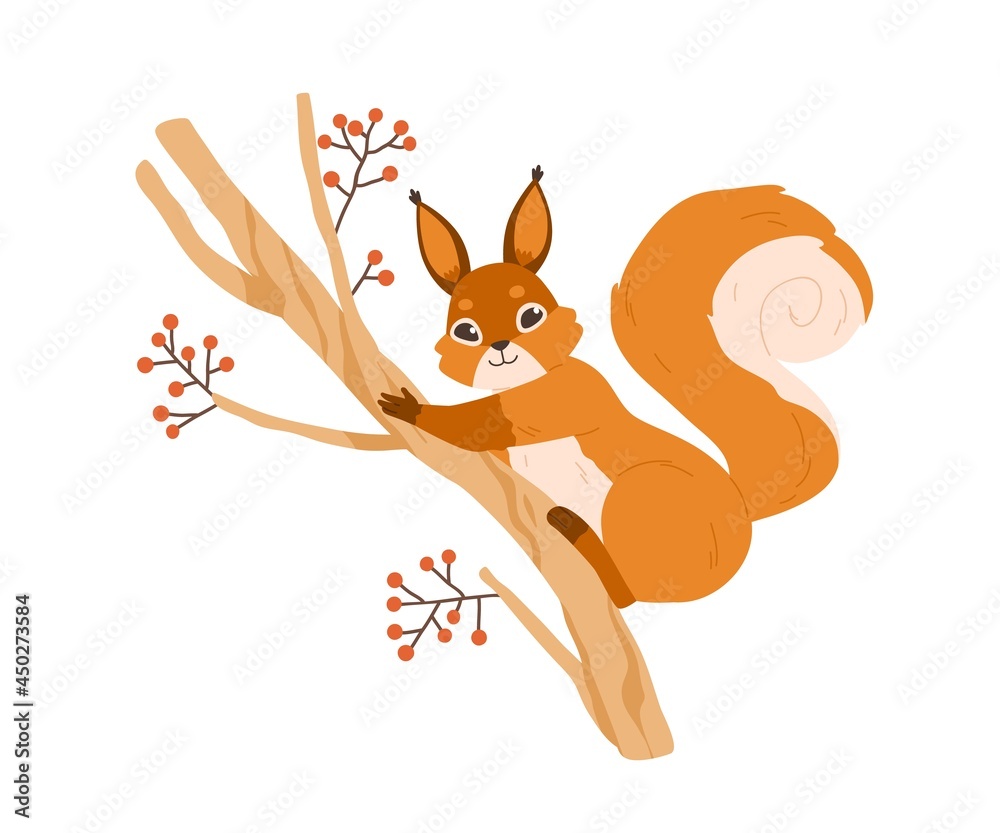 Fototapeta premium Cute happy squirrel on rowan tree branch. Adorable funny animal with fluffy tail on twig. Flat vector illustration of wild forest rodent with orange fur isolated on white background