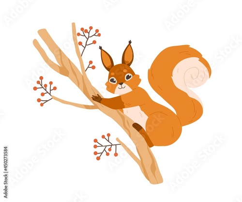 Cute happy squirrel on rowan tree branch. Adorable funny animal with fluffy tail on twig. Flat vector illustration of wild forest rodent with orange fur isolated on white background