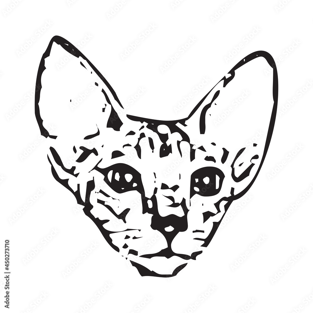 Vector of a cat face design on white background, Pet. Animals in eps 10 Vector of a cat face design on white background, Pet. Animals in eps 10