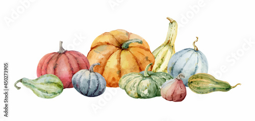 Watercolor vector festive autumn decor from colorful pumpkins.