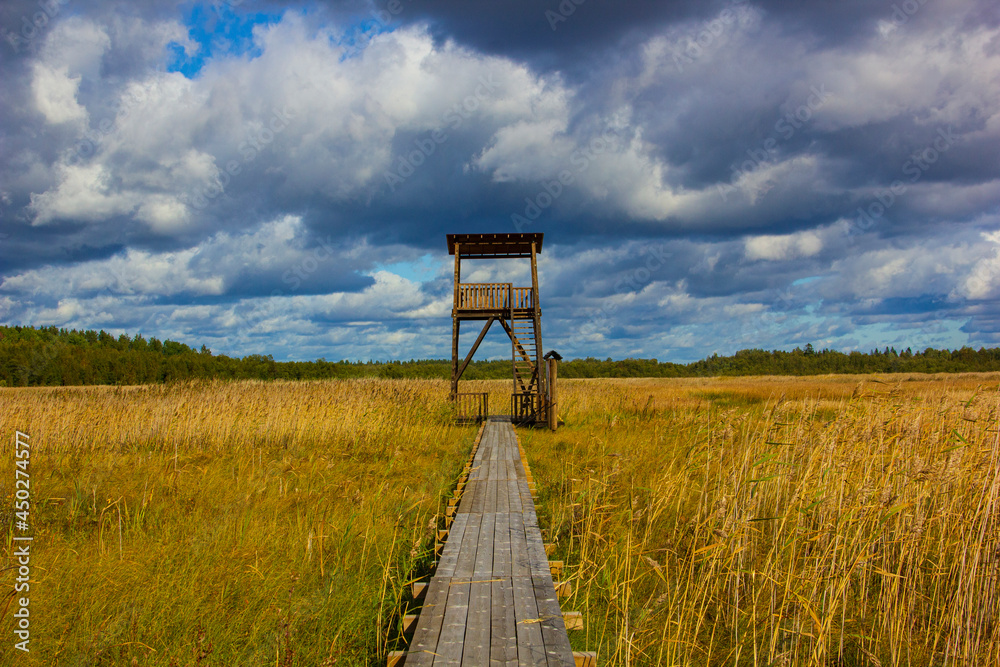 An ornithological tower against the background of a golden swamp (wheat color). Wildlife Refuge 
