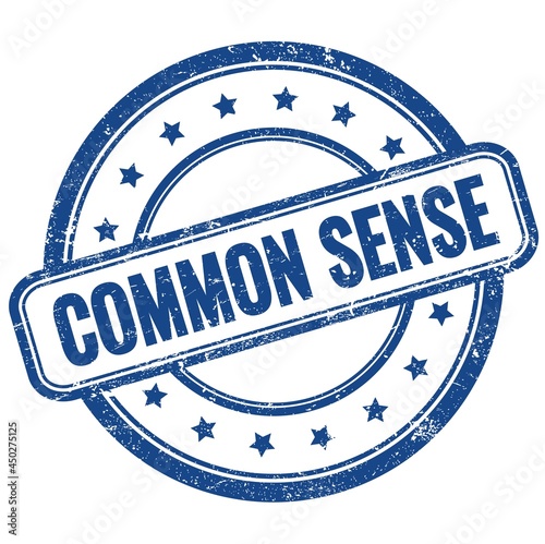 COMMON SENSE text on blue grungy round rubber stamp.