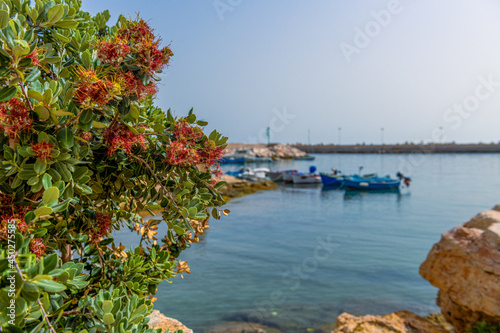 niebieskie łodzie rybackie w porcie, na pierwszym planie kolorowe naturalne kwiaty