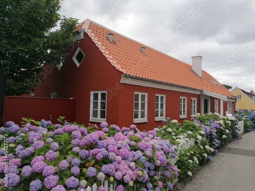 Old traditional Danish Design Half Timbering houses in Skagen in Northern Jutland, Denmark