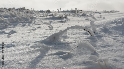 大雪に覆われた野原の風景
