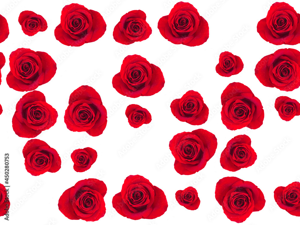 seamless pattern with red roses seamless pattern with red roses