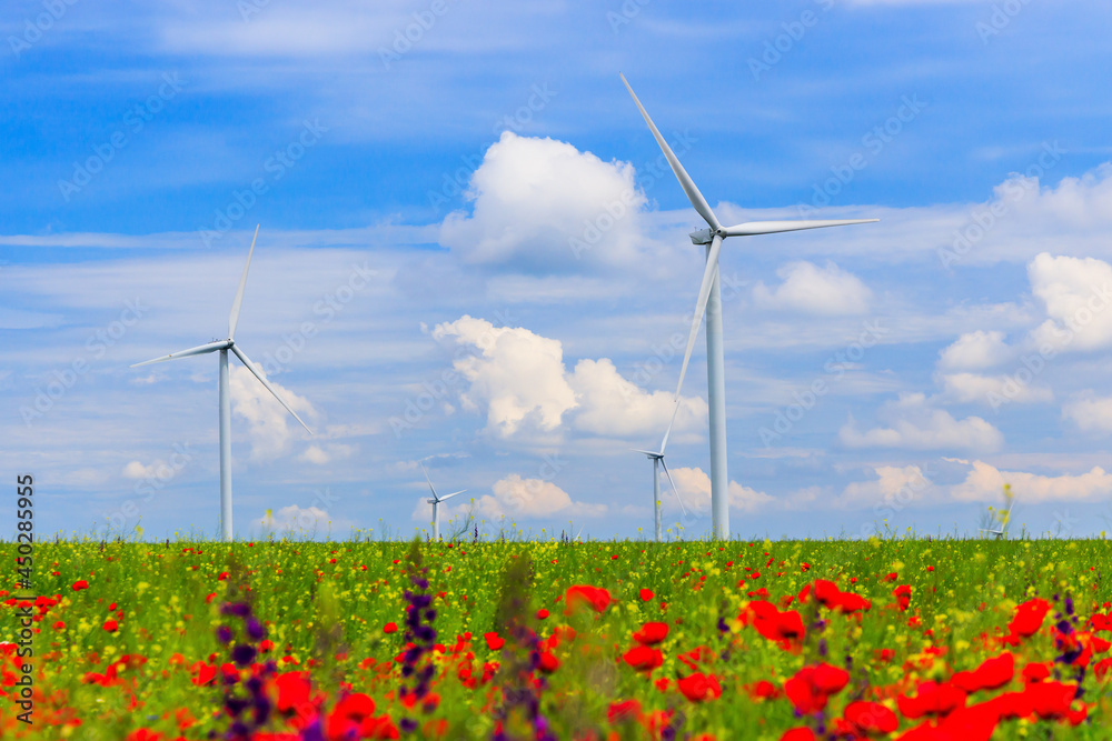 Wind Turbines (renewable energy source) with agriculture field and wild flowers in the foreground.