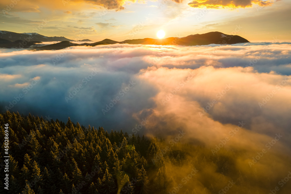 Aerial view of vibrant sunrise over mountain hills covered with evergreen spruce forest in autumn. Aerial view of vibrant sunrise over mountain hills covered with evergreen spruce forest in autumn.