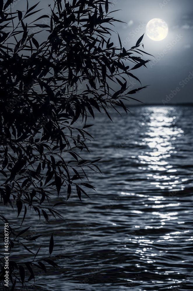 Full moon, lunar path over sea or river with silhouette of tree. Night moonlight background.