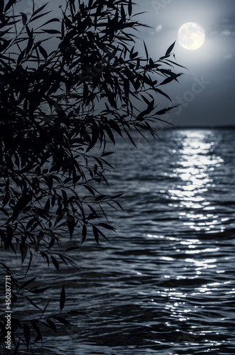 Obraz na płótnie Full moon, lunar path over sea or river with silhouette of tree. Night moonlight background. w salonie