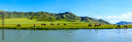 Horses graze on the pasture by the river.the mountain and meadows with horses in the summer pasture beautiful grassland scenery.