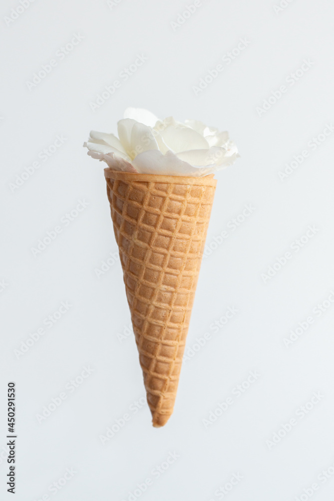 Ice cream waffle cone with fresh white rose flower, isolated. Diet and thinking outside the box design concept Ice cream waffle cone with fresh white rose flower, isolated. Diet and thinking outside the box design concept