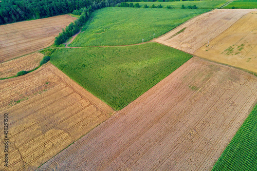 Aerial view of agricultural and green fields in countryside. Nature landscape in summer day, panorama