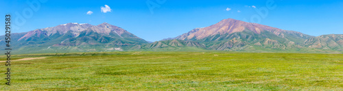Green grassland and mountain landscape in Xinjiang.
