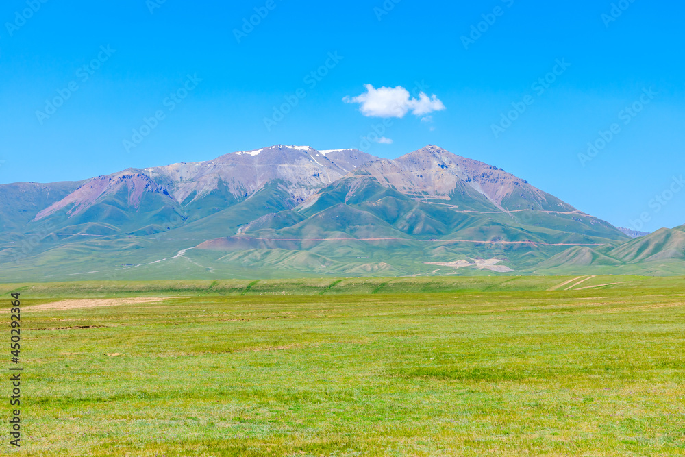 Fototapeta premium Green grassland and mountain landscape in Xinjiang.