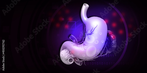 Human stomach anatomy on blue background. 3d illustration.