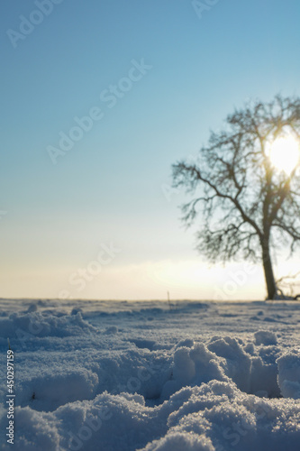 Deep snow with blurred tree , sun and blue sky