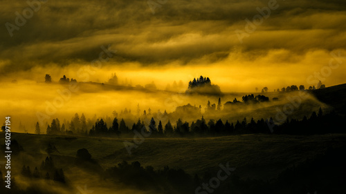 Fototapeta Naklejka Na Ścianę i Meble -  The Carpathian Mountsins. Ukraine.