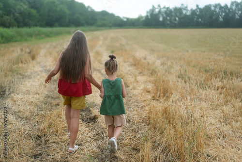 Two little girls, little sisters are walking in the meadow, in the field. High quality photo