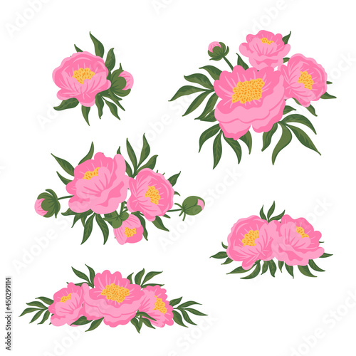 Set of flower compositions. Pink peonies with green leaves. Vector romantic garden illustration. Botanical collection for wedding invitation, patterns, wallpapers, fabric, wrapping © Iryna
